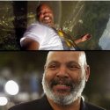 This Pic Of Will Smith Bungee Jumping Looks Exactly Like Uncle Phil…