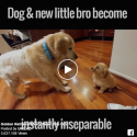 Watch This Instant Friendship Form!